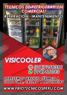 Servicio tecnico de visicooler 7590161 Chorrillos